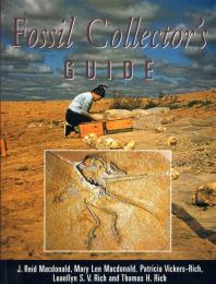 Fossil Collector's Guide