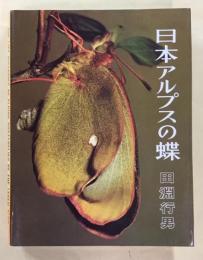 日本アルプスの蝶