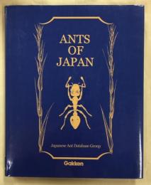 Ants of Japan