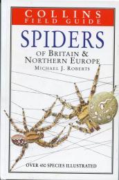 Spiders of Britain & Europe