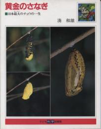 黄金のさなぎ : 日本最大のチョウの一生