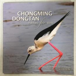 CHONGMING DONGTAN ː Habitats for Birds