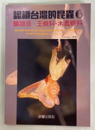 認識台湾的昆虫6 王蛾科、木蠹蛾科