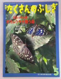 オオムラサキ舞う森 : 昆虫少年の夢