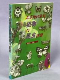 北京地区常見植物与昆虫図冊