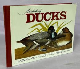 Audubon's Ducks: A Book of Days from the National Gallery of Art