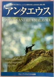 アンタエウス：マレーアンタエウスの故郷1　筆者の目で見るマレーシア三大産地の紹介と生体比較・採集・飼育