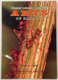 Common Lowland Rainforest Ants of Sabah