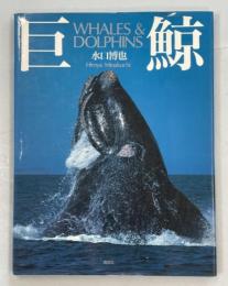巨鯨 : Whales & dolphins