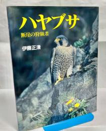 ハヤブサ : 断崖の狩猟者