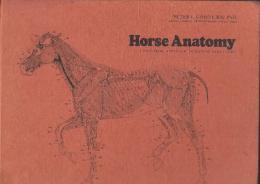 Horse Anatomy: A Pictorial Approach to Equine Structure　　(馬の解剖学: 馬の構造への絵画的アプローチ)英語版