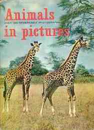 Animals in Pictures-OVER 160 REMARKABLE PHOTOGRAPHS（160種以上の動物写真）