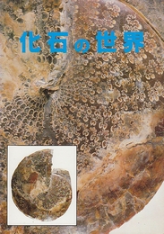 化石の世界　(栃木県立博物館企画展)