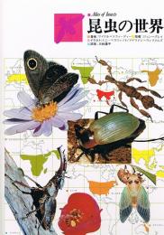 昆虫の世界　原色学習ワイド図鑑続巻　Atlas of Insects
