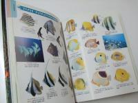 魚　ニューワイド学研の図鑑4