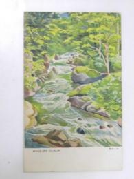 北海道絵葉書　薄別温泉の渓流（定山渓上流）の絵