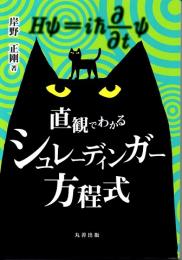 直観でわかるシュレーディンガー方程式