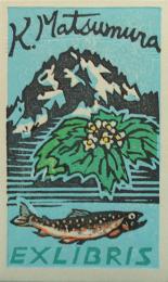渡辺正弥木版画蔵書票「焼岳とサンカヨウと岩魚」