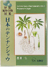 日本のテンナンショウ : 原色植物分類図鑑