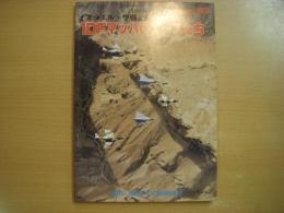戦車マガジン別冊 1988年度版 イスラエル・空戦記録　IDFマッハのエースたち