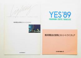 横浜博覧会の照明とストリートファニチュア 2冊一括