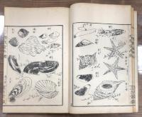 潜龍堂画譜 全5冊のうち魚類之部1冊
