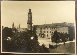 絵葉書　Residenzschloß Weimar, vom Park aus.