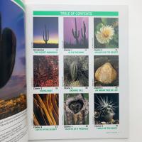 All about Saguaros