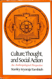 文化、思想、及び社会的行動（英）Culture, Thought, and Social Action