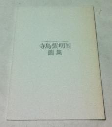 寺島紫明展 画集 1999 (いづみ画廊ゆかりの作家シリーズ 6)