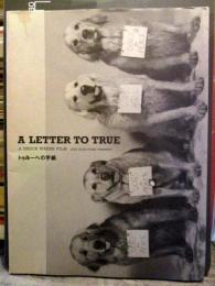 トゥルーへの手紙　ブルース・ウェバー映画パンフレット　2004年