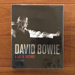 [英]DAVID BOWIE: A Life In Pictures