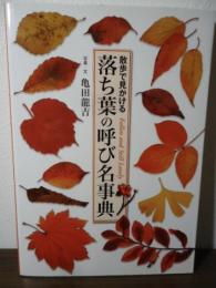 落ち葉の呼び名事典