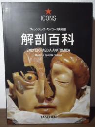 解剖百科 : 解剖学用ろう製人体モデルコレクション : フィレンツェ・ラ・スペコーラ美術館