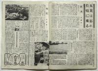 旬刊ニュース NEWS　No.31