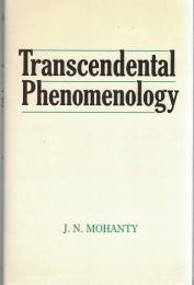 Transcendental Phenomenology: An Analytic Account
