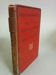 The official Guide & Hand-book to Swansea and its district. With a colour map