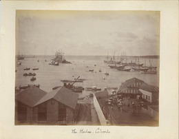古写真（鶏卵紙）  コロンボ港（セイロン／スリランカ）：THE HARBOUR COLOMBO（BRITISH CEYLON／SRI LANKA）