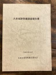 大井城跡発掘調査報告書