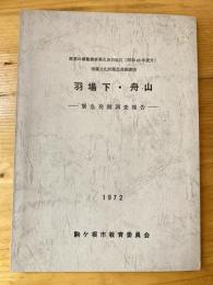 羽場下・舟山 : 緊急発掘調査報告 : 県営ほ場整備事業大田切地区(昭和46年度分)埋蔵文化財緊急発掘調査