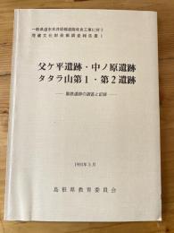 一般県道市木井原線道路改良工事に伴う埋蔵文化財発掘調査報告書