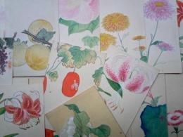 絵葉書　花と植物　美術絵葉書