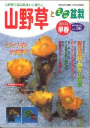 山野草とミニ盆栽　2003年早春　Vol.36