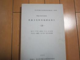 関越自動車道関係埋蔵文化財調査報告書　第１６集　沼下・平原・新堀・他