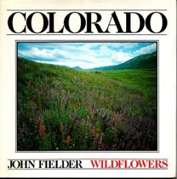 Colorado: Wild Flowers