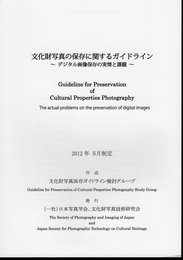 文化財写真の保存に関するガイドライン－デジタル画像保存の実情と課題