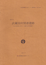 府中市武蔵国府関連遺跡-配水本管新設工事に伴う埋蔵文化財発掘調査