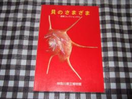 貝のさまざま : 鹿間コレクションから 開館20周年記念特別展