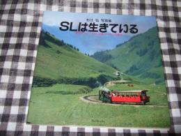 SLは生きている : 杉江弘写真集 : 東西ヨーロッパ18ケ国編/ダイヤと情報付