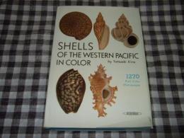 Shells of the Western pacific in color